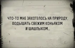 MpF0QDaoTfk.webp