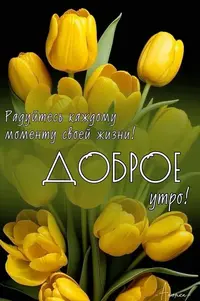 0306_112452_395.webp
