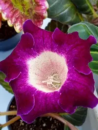 IMG_20250323_094300_081.webp