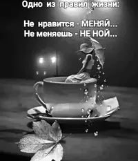 FB_IMG_1742643759078.webp