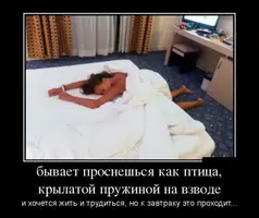 i (2).webp