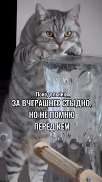 imgonline-com-ua-Resize-Ed4vFHbCuH.webp