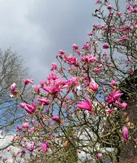 _20250324_.webp