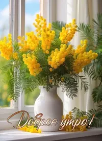 IMG_6412.webp