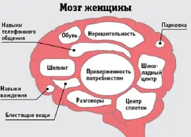 22.webp