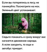 IMG_20250325_224556_203.webp