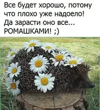 9c1573f9ca887f00a3a0ac353d34a904.webp