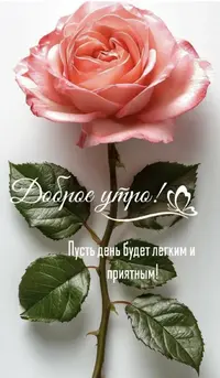 IMG_1418.webp