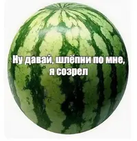 fkqostnf_lg.webp