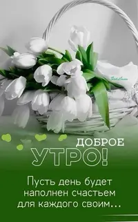 308_124604_664.webp