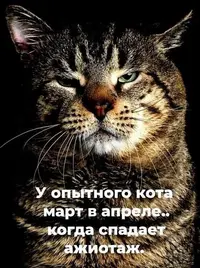 0326_133342_235.webp