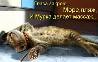 aGU_2g8FZtM.webp