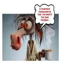 1000001599.webp