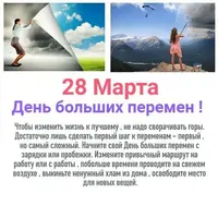 3019105228.webp