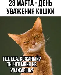 2661e7b425.webp