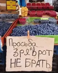 imgonline-com-ua-Resize-6sVM8b7zvkSVqP.webp