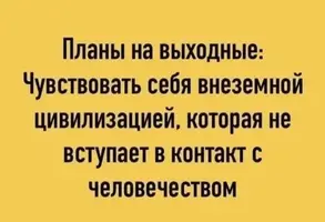 FB_IMG_1743230259128.webp
