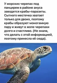 1000114605.webp