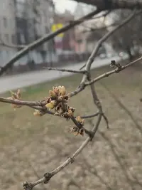 20250329172631.webp