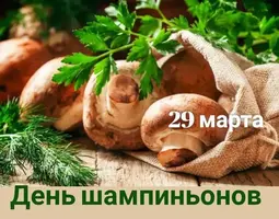 0329_141120_206.webp