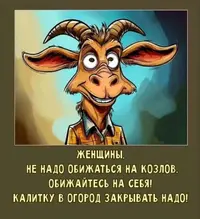 1000001858.webp