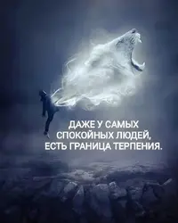 1000001856.webp