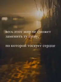 1000001859.webp