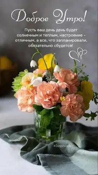 0310_113433_480.webp