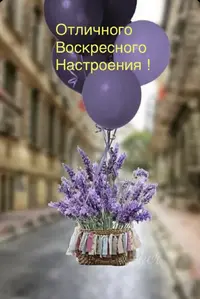 IMG_1489.webp