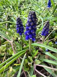 imgonline-com-ua-Resize-3DSfCOJ5D65UNlm.webp