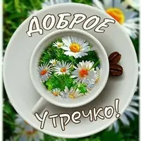 1000114701.webp