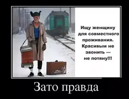 Снимок.webp