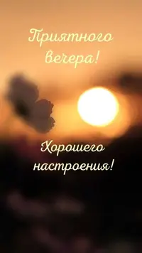 e6c11383725a95b46cb7344bdfcb4053.webp