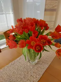 20250401_144225.webp