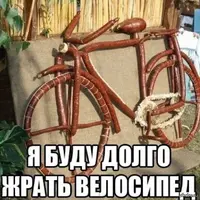 shrevdlm_lg.webp