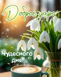 imgonline-com-ua-Resize-0pPPwxlQhr5c.webp