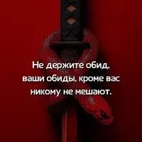 FB_IMG_1743229304071.webp