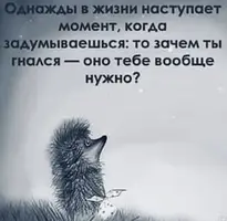 IMG_1609.webp