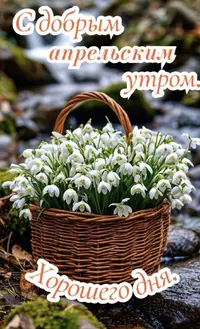 IMG_1624.webp