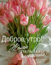 imgonline-com-ua-Resize-CcEKMqnu0JV.webp
