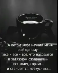 FB_IMG_1743436578125.webp