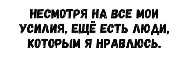 1000001968.webp