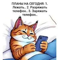 cae6ec64b3a43cf8500beedc06d91ee1.webp