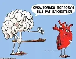 242f0f836b2708be9c0d1675634fdb0f.webp