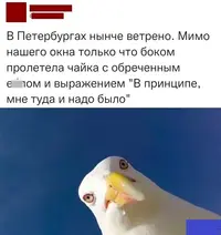 7l38jGNoszg.webp