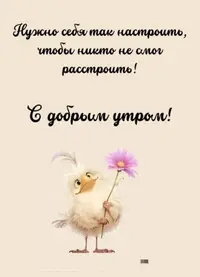 cb180518f36f3e3ed5889df8af830933.webp