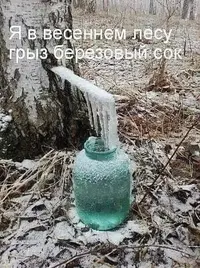 47983873_769c8e86bdcfa3c78e55d85868e19fe2_800.webp