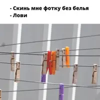 98054853441f160b6591d338ff19603a.webp