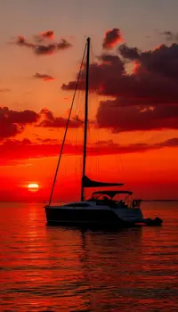 039.webp