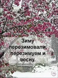0407_154647_803.webp